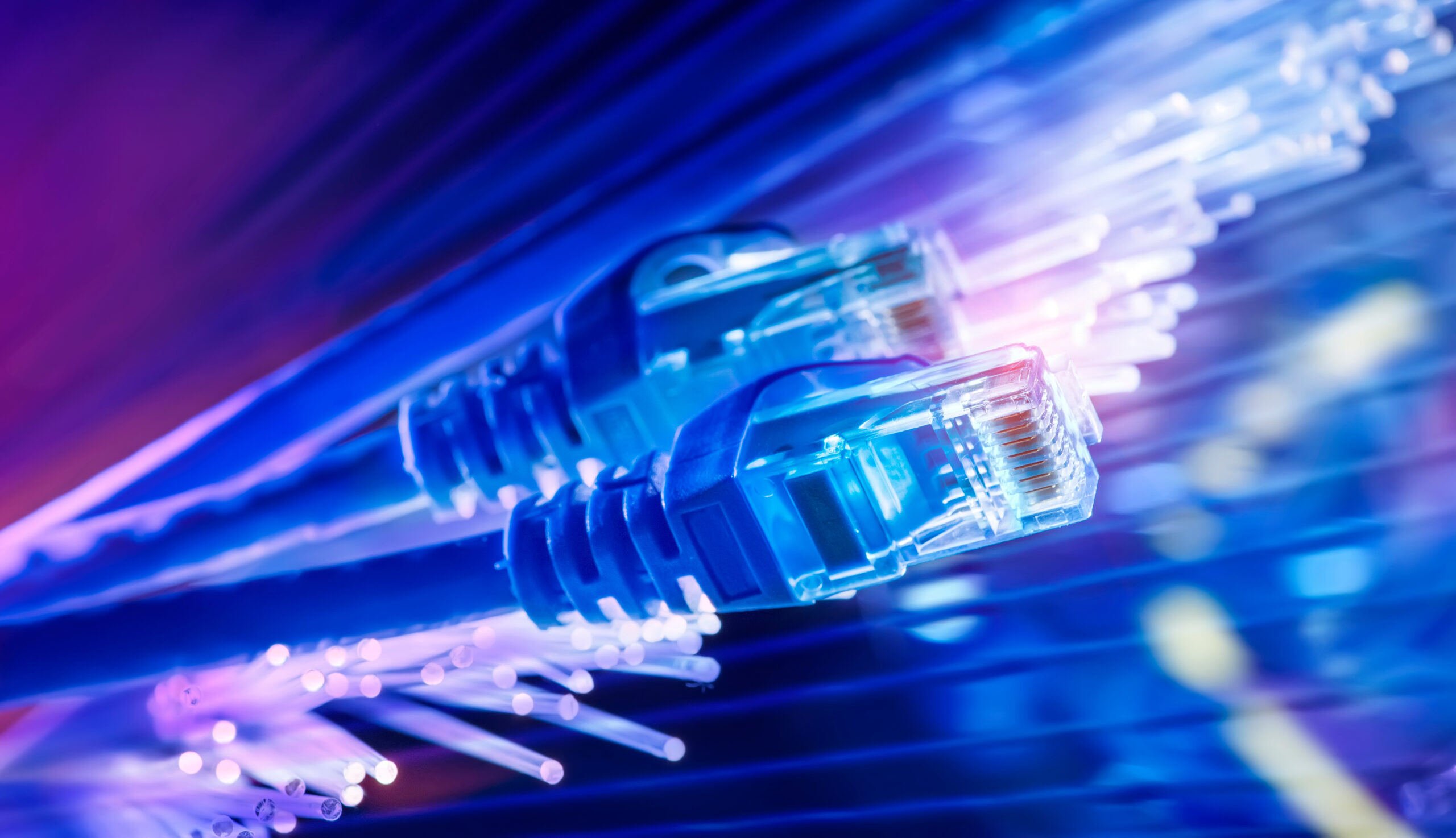 Network Security Solutions | Network Critical